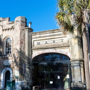 Charleston Tours